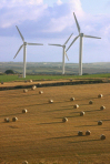 Windmill Farm